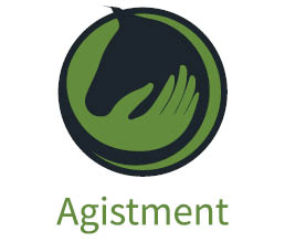 Agistment Horse Hub